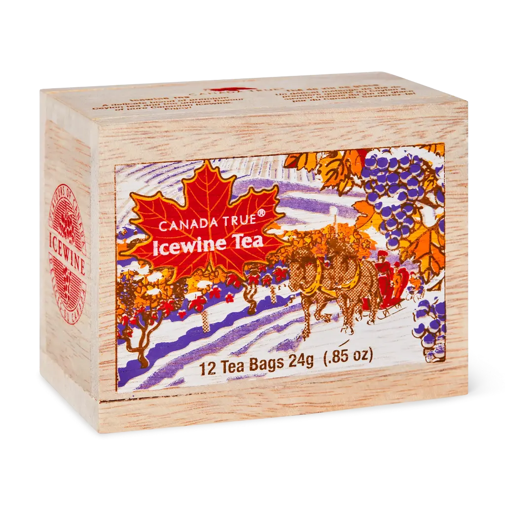 ICETSS12